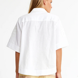 LIPIZZANER. WHITE