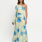 SOPHIE One Sleeve Maxi Dress