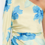 SOPHIE One Sleeve Maxi Dress