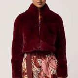 DAWN Cropped Jacket | BORDEAUX